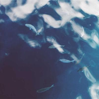 TV Samsung 55 pouces QLED 4K